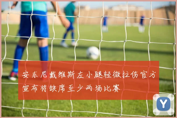 安东尼戴维斯左小腿轻微拉伤官方宣布将缺席至少两场比赛
